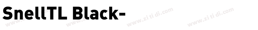SnellTL Black字体转换 SnellTL Black字体转换